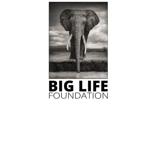 Big Life Foundation