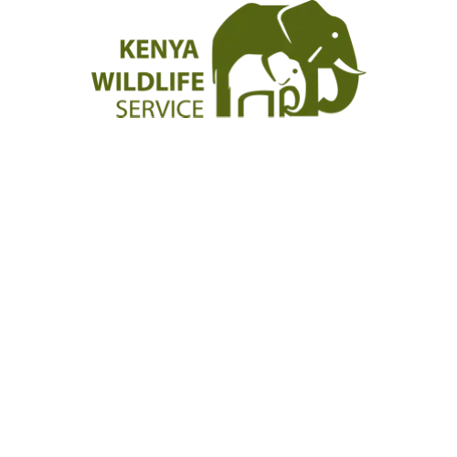 Kenya Wildlife Service (KWS)